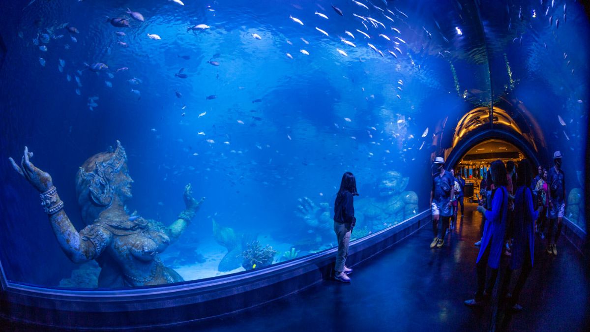 Aquaria Phuket