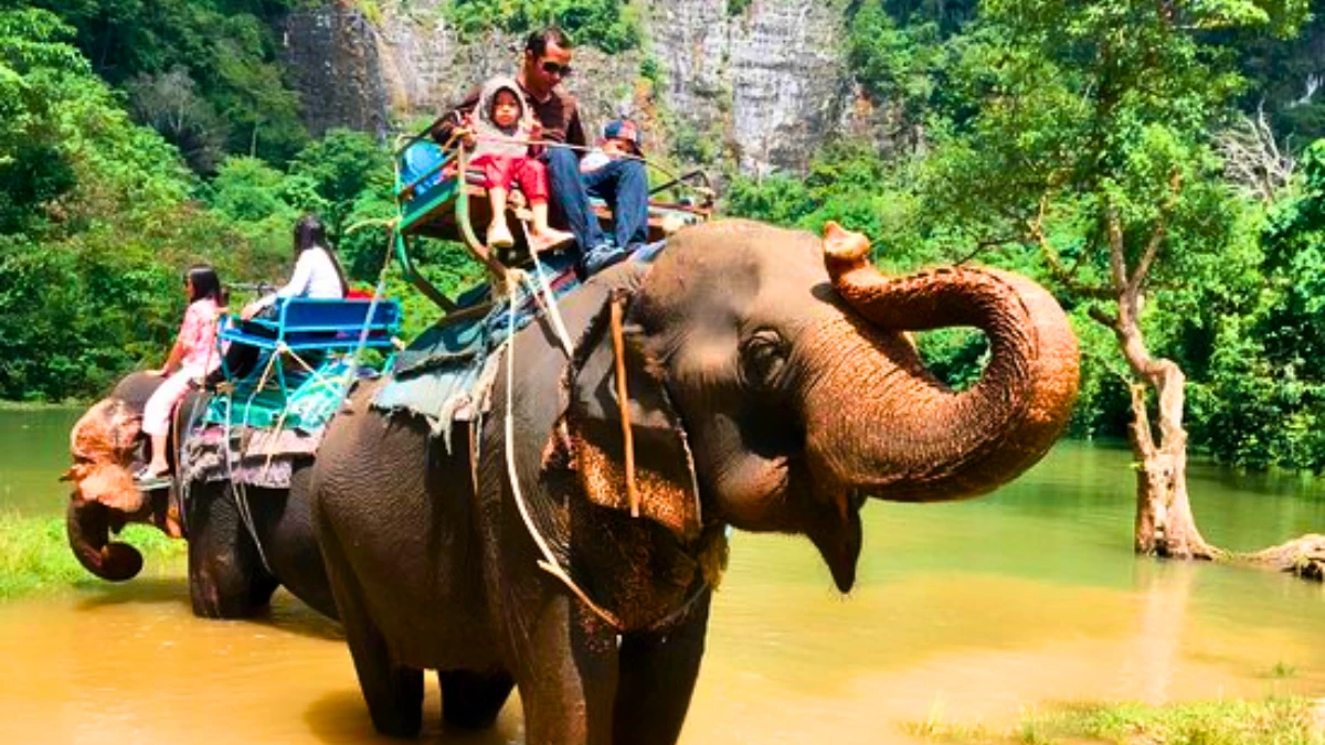 Elephant Trekking in Krabi