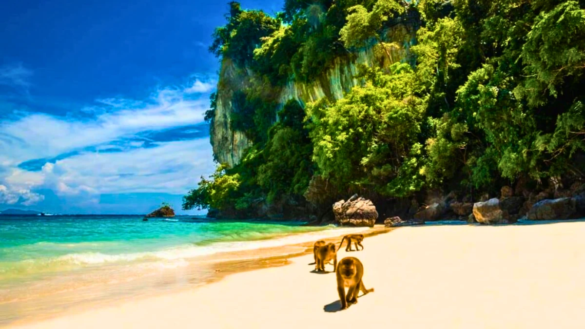 Monkey Beach