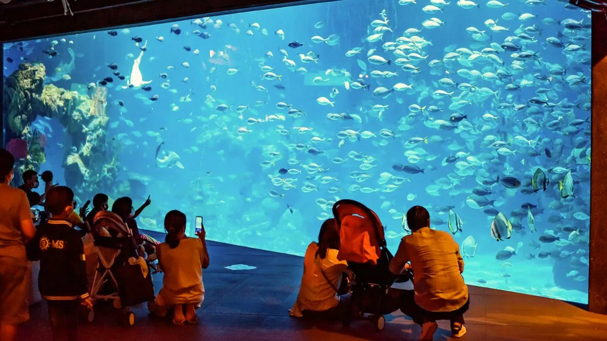 Phuket's Aquaria