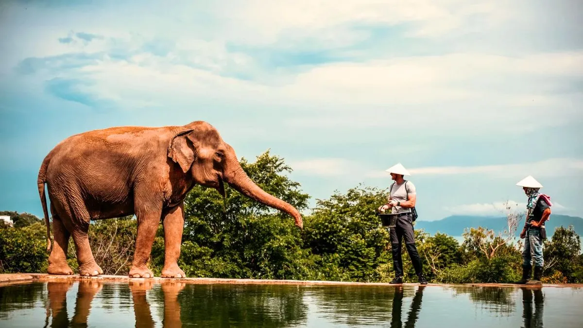 Samui Elephant Sanctuary