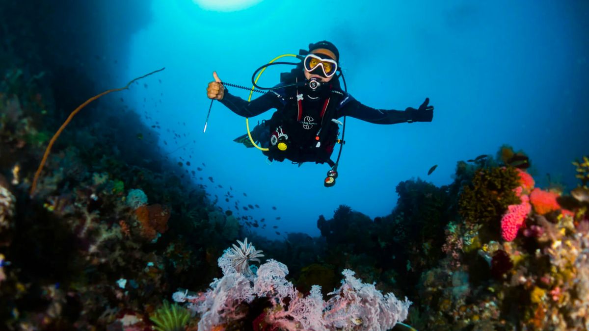 Scuba Diving in Pattaya