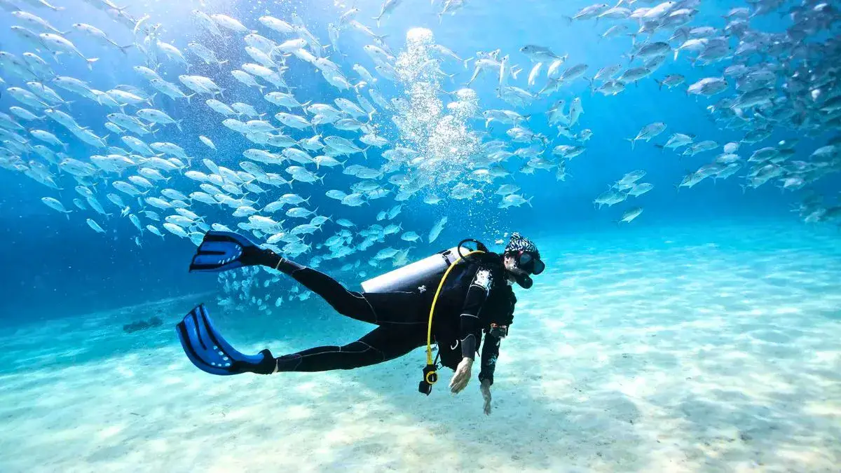 Scuba Diving in Thailand