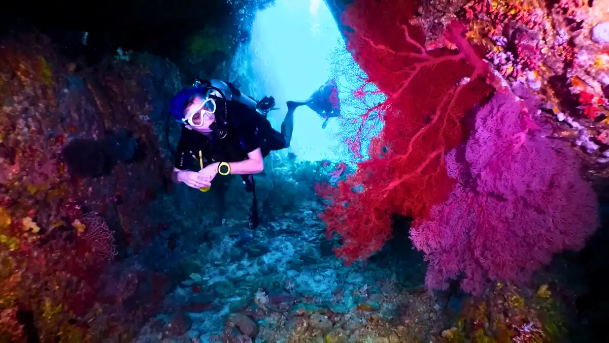 Scuba diving in Similan Island