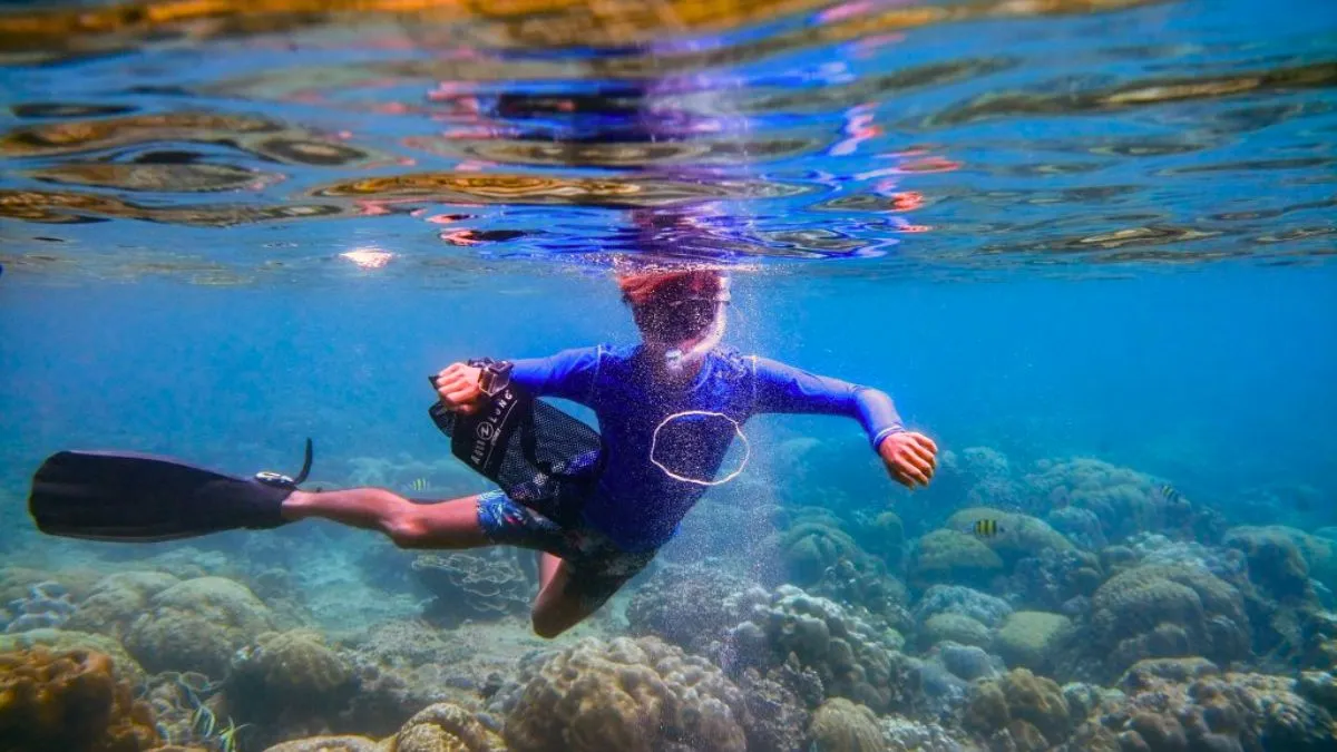 Snorkel around Phi Phi Island