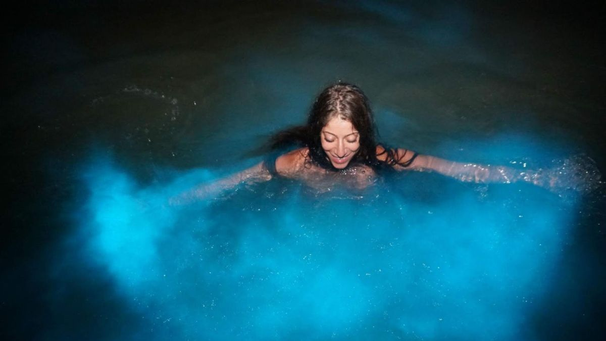 Swim in the bioluminescent waters of Krabi