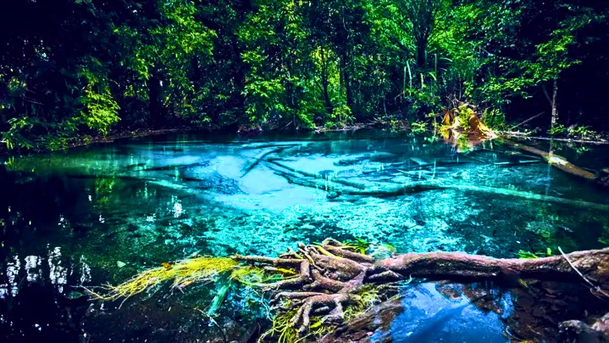 Thung Teao Forest Natural Park