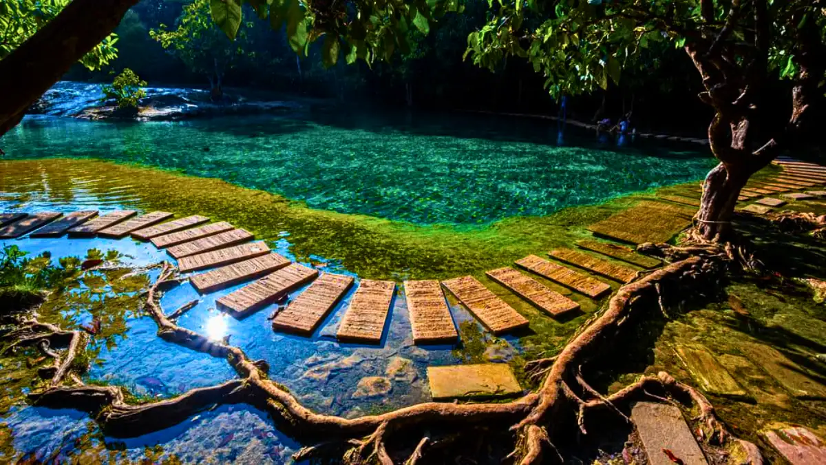 Klong Thom Hot Springs