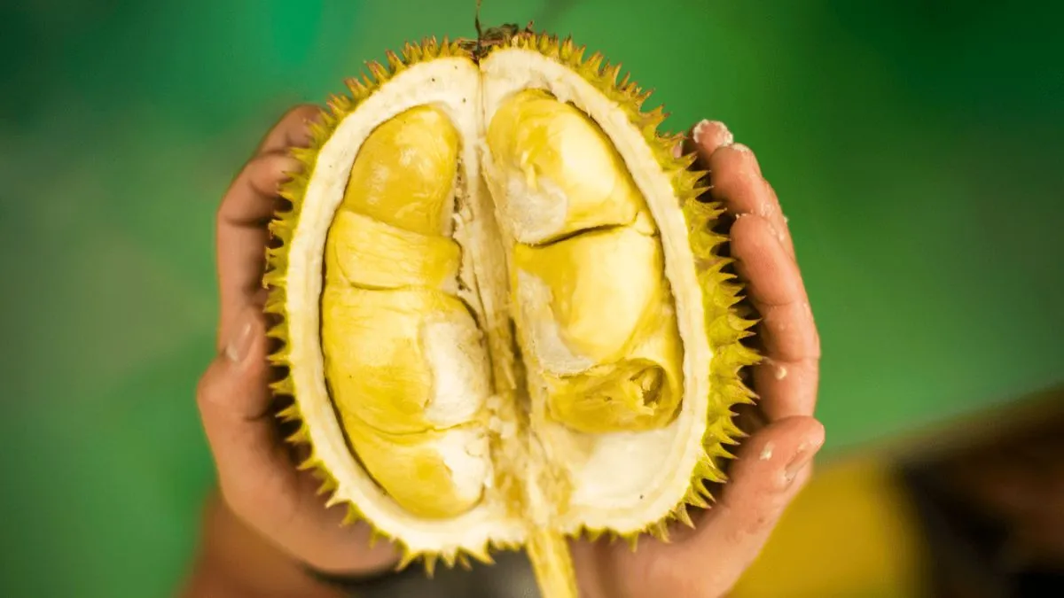 Taste the Durian Fruit