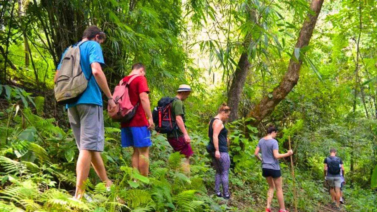 Trek in the Chiang Mai Countryside