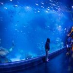 Aquaria Phuket