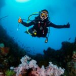 Scuba Diving in Pattaya