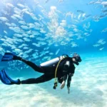 Scuba Diving in Thailand