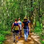 Trekking in Chiang Mai