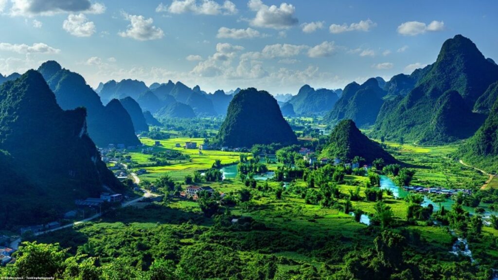 Delightful Vietnam