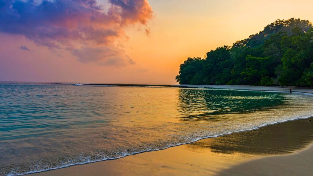 Splendour's Of Andaman - Luxury