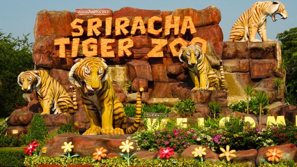 Sri Racha Tiger Zoo